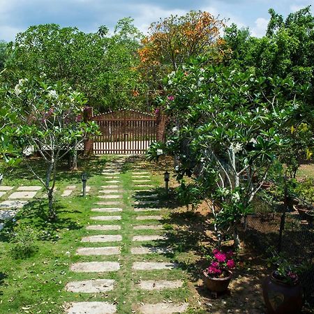 Spring Garden Homestay Дуонг-Донг Экстерьер фото