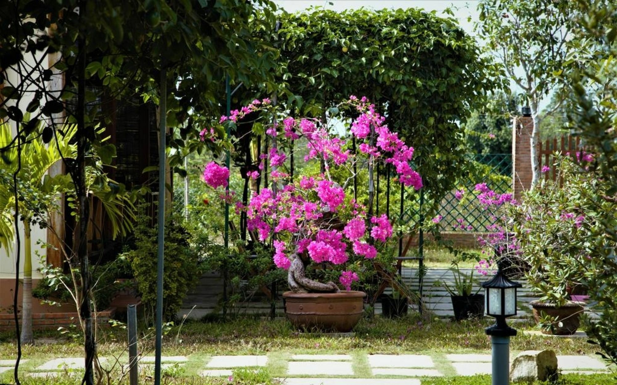 Spring Garden Homestay Дуонг-Донг Экстерьер фото