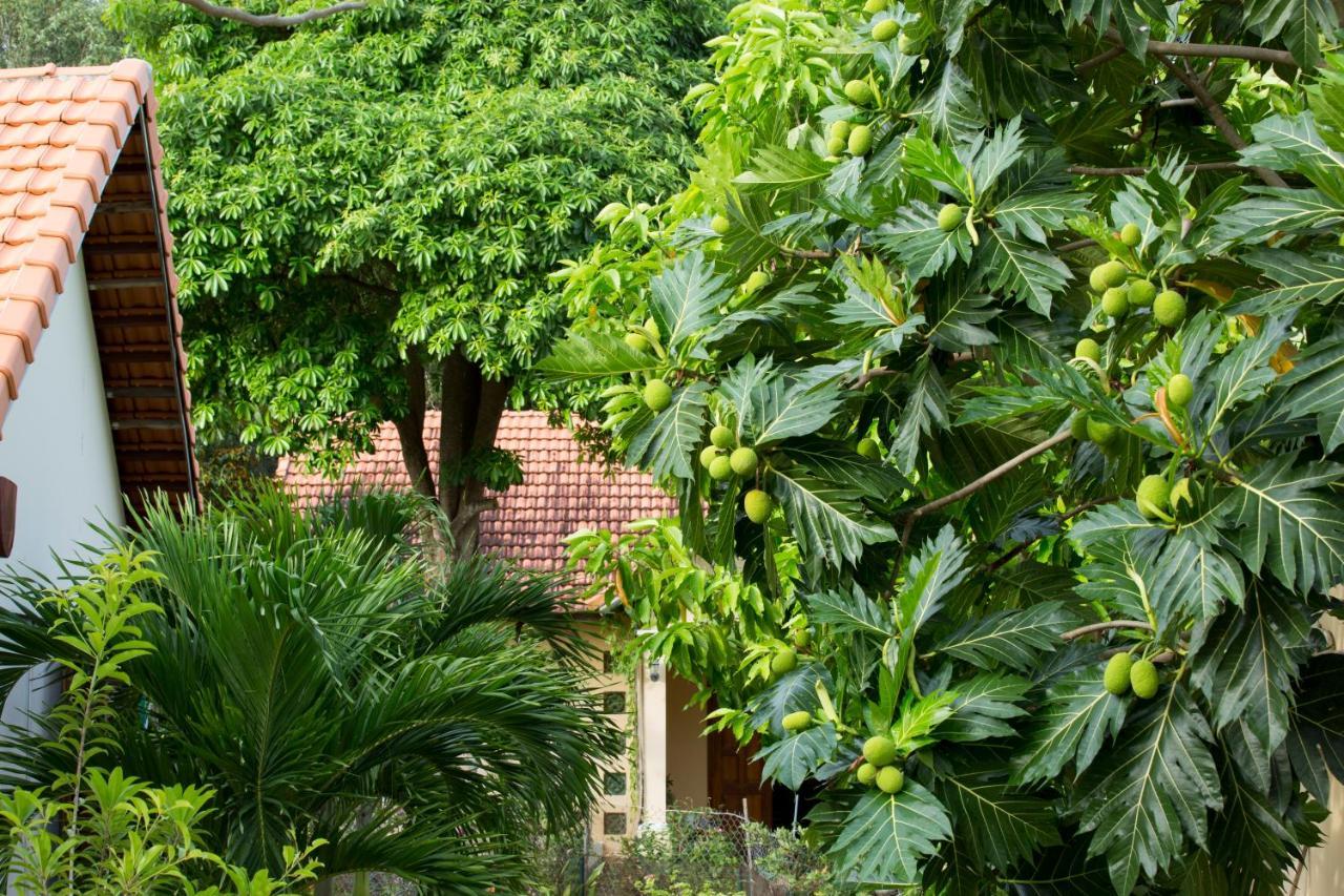 Spring Garden Homestay Дуонг-Донг Экстерьер фото