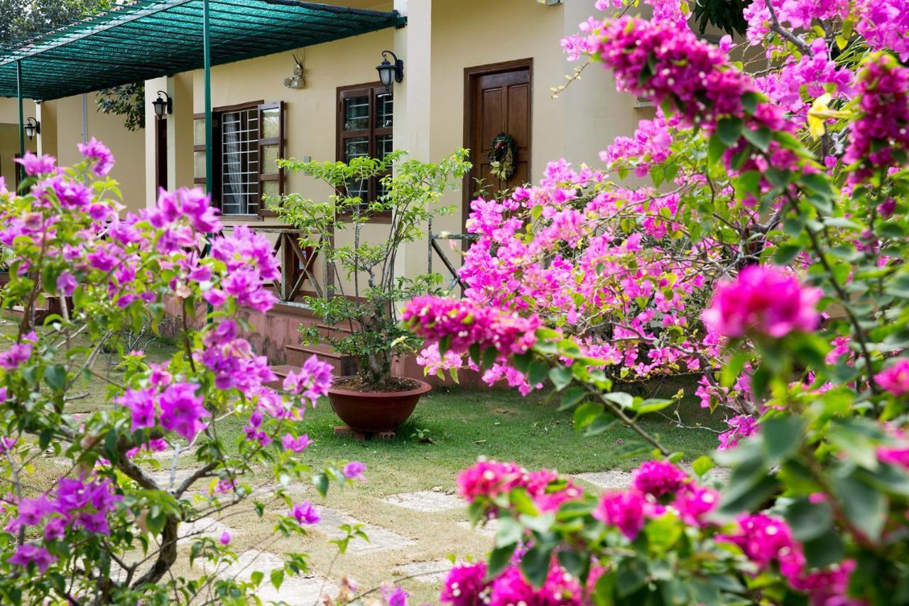 Spring Garden Homestay Дуонг-Донг Экстерьер фото